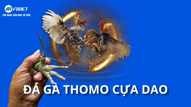 Đá Gà Thomo Cựa Dao - Hình thức chơi cá cược cực chất